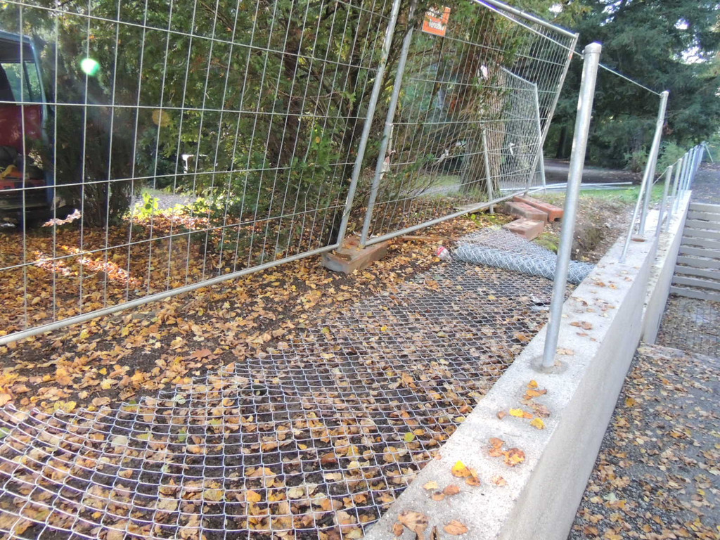 DSCN8530_JPG-1382297241