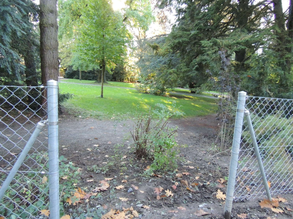 DSCN8528_JPG-1382297233