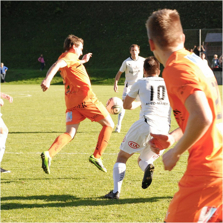 20131019_020_egg_bizau_derby_light_JPG-1382307014
