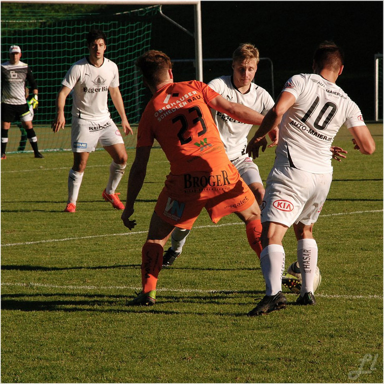 20131019_025_egg_bizau_derby_light_JPG-1382307033
