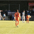 20131019_045_egg_bizau_derby_light_JPG-1382307115