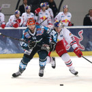 GEPA-20101368019.jpg