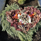 19102013herbstlichesfarbenspielat02001aktivnews__2_.JPG
