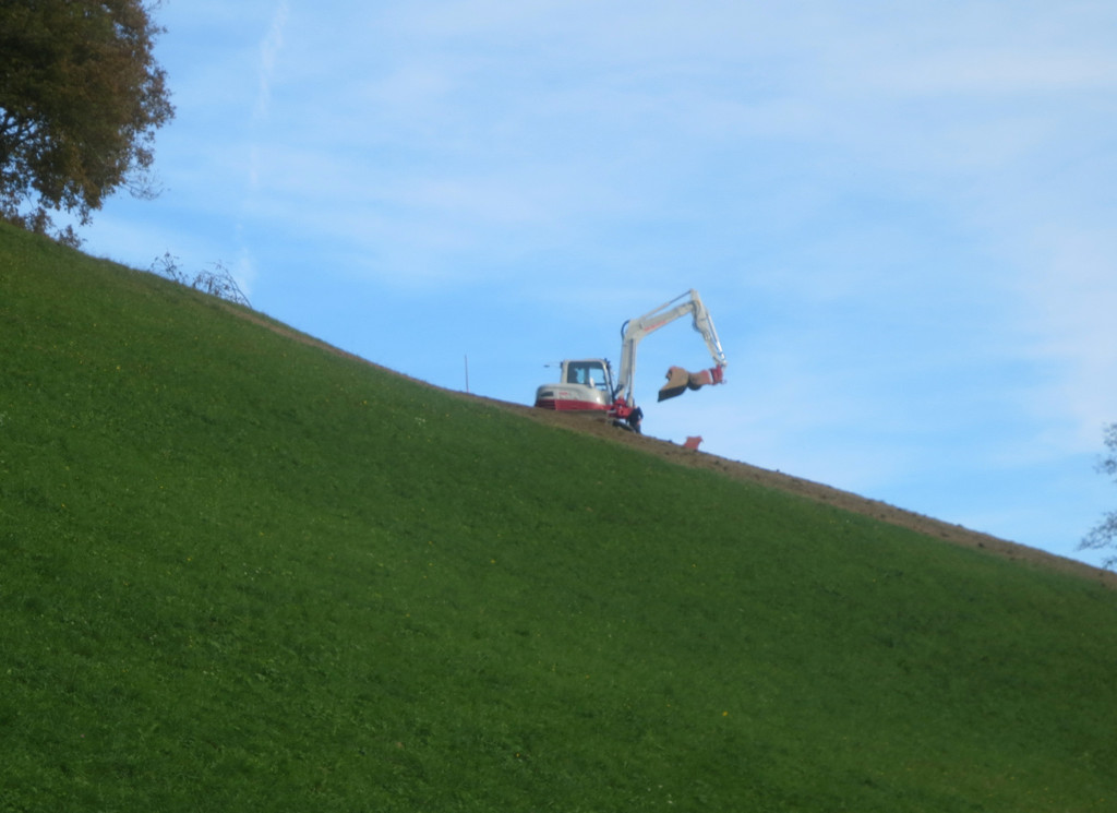 Eichenberg Tr__gen Hangsicherung 2013 _11__jpg-1382352890