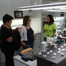 IMG_3206_JPG-1382360177