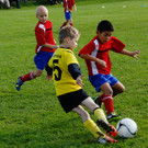 Best of U-8-Turnier in Sulz
