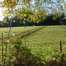 102_PANA_ P1020104.JPG