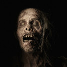 printRes_TWD_Walkers_Portrait.jpg