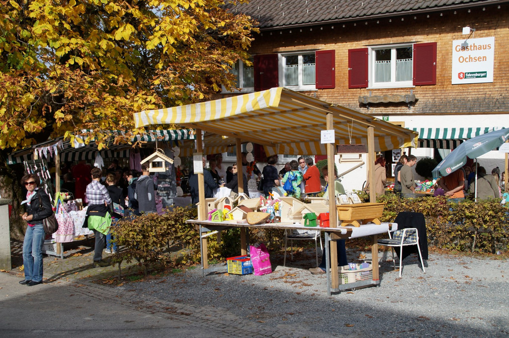 DSC07484 _Large__jpg-1382375842