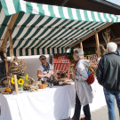 DSC07515 _Large__jpg-1382375889