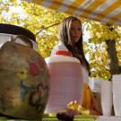 DSC07529 _Large__jpg-1382375930