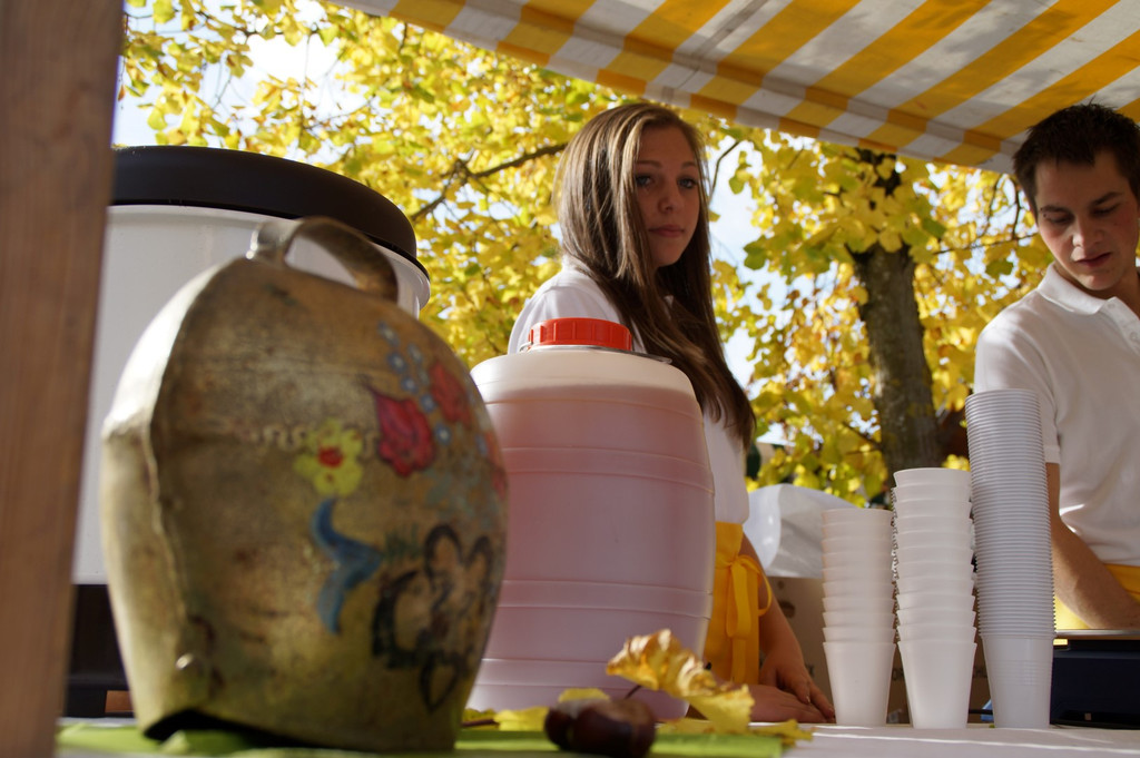 DSC07529 _Large__jpg-1382375930