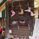 DSC07549 _Large__JPG-1382375965