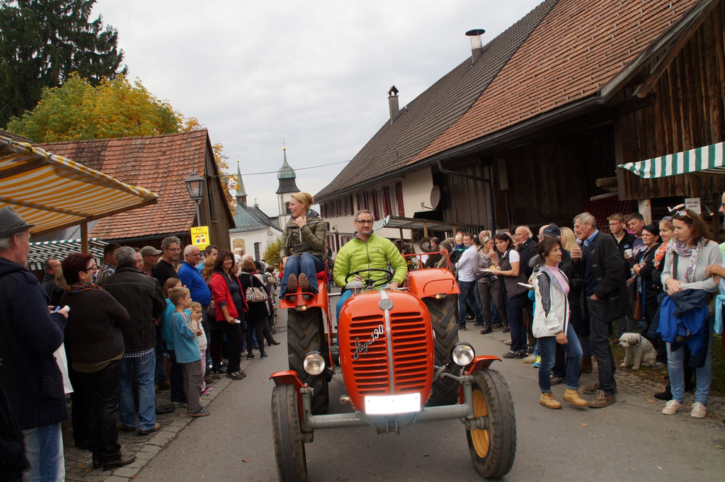 DSC07664 _Large__JPG-1382376037