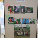 IMG_3122_JPG-1382426143