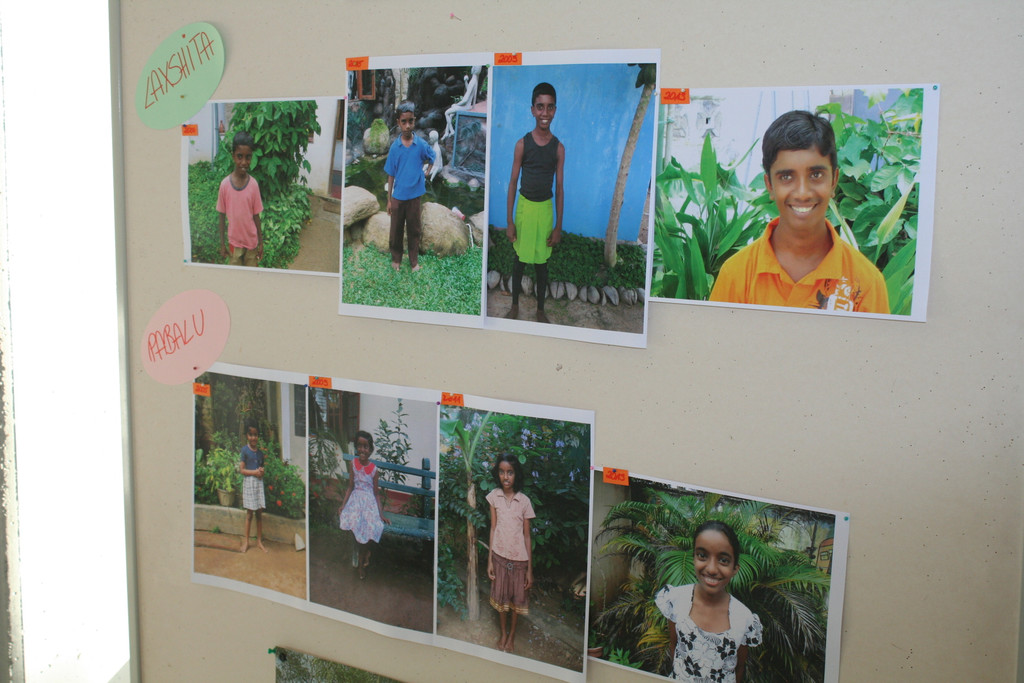 IMG_3124_JPG-1382426162