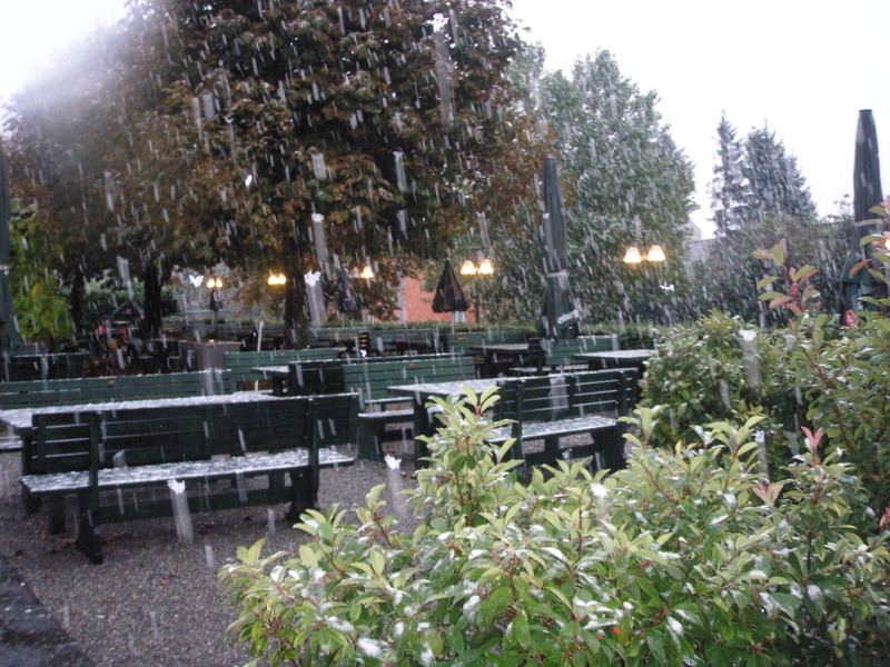 PA100008_JPG-1382449168