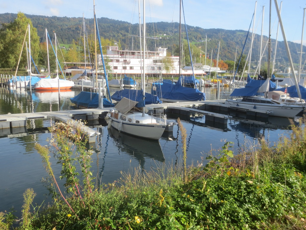 Herbst am See _12__jpg-1382453243