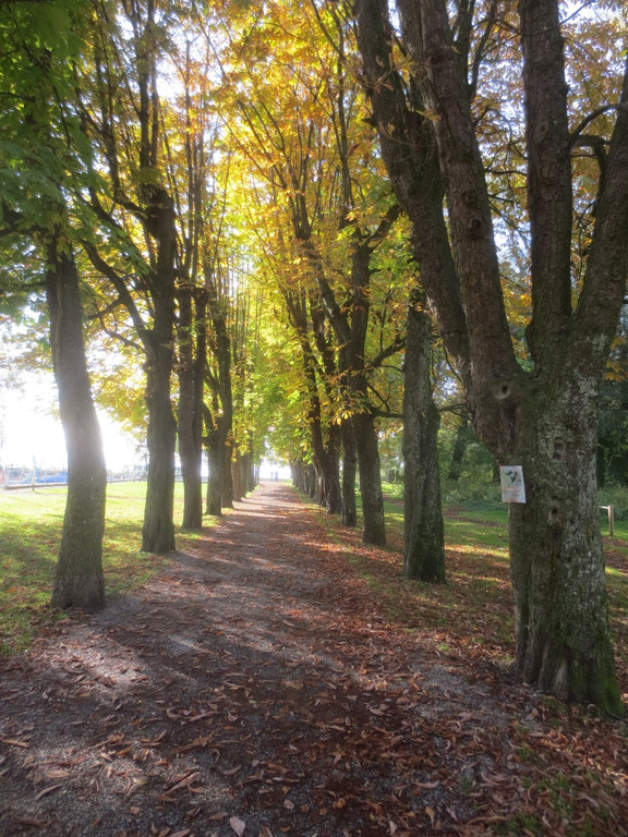 Herbst am See _2__jpg-1382453198