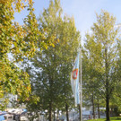 Herbst am See _26__jpg-1382453302