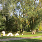 Herbst am See _5__jpg-1382453211