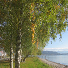 Herbst am See _25__jpg-1382453297