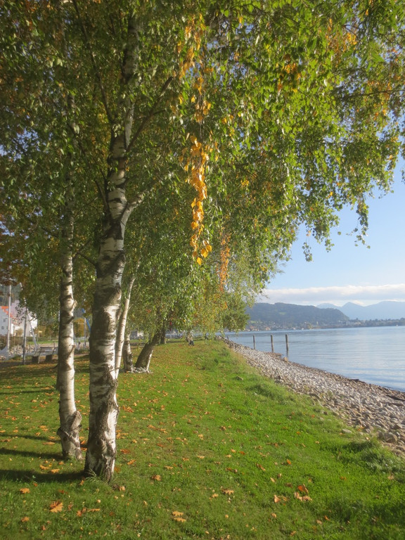 Herbst am See _25__jpg-1382453297