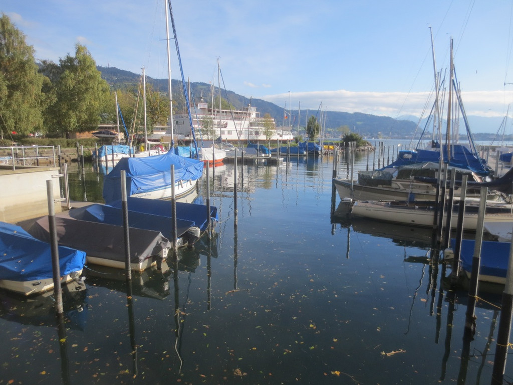 Herbst am See _4__jpg-1382453206