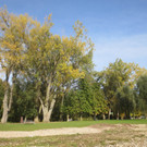 Herbst am See _7__jpg-1382453221