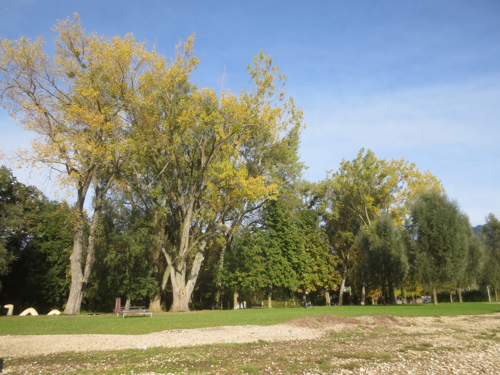 Herbst am See _7__jpg-1382453221
