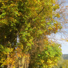 Herbst am See _14__jpg-1382453255