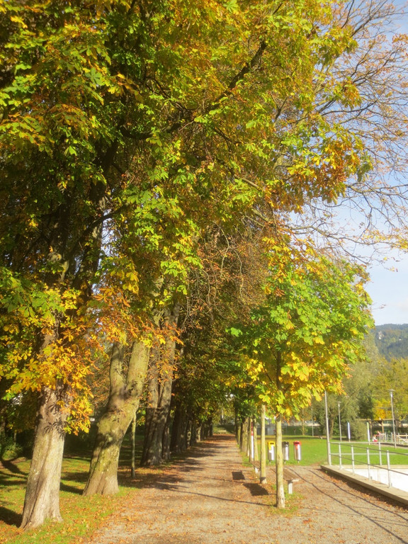 Herbst am See _14__jpg-1382453255