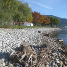 Herbst am See _21__jpg-1382453288