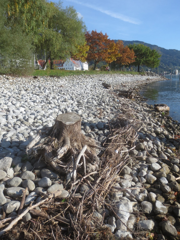 Herbst am See _21__jpg-1382453288