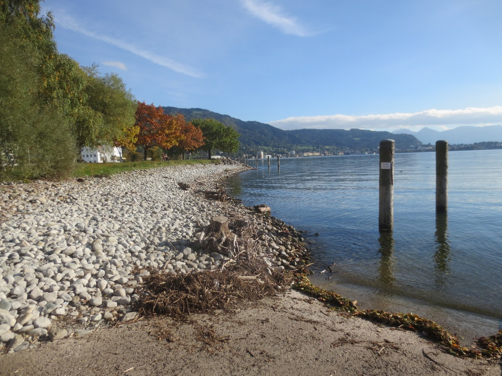 Herbst am See _19__jpg-1382453279