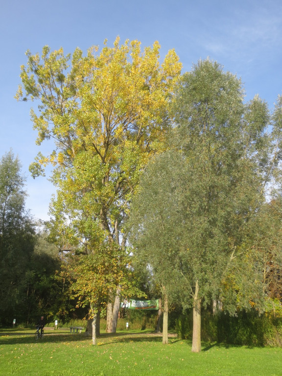 Herbst am See _11__jpg-1382453239