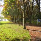 Herbst am See _1__jpg-1382453193