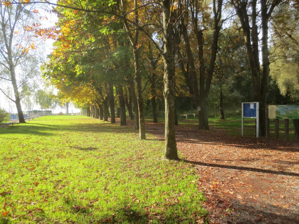 Herbst am See _1__jpg-1382453193