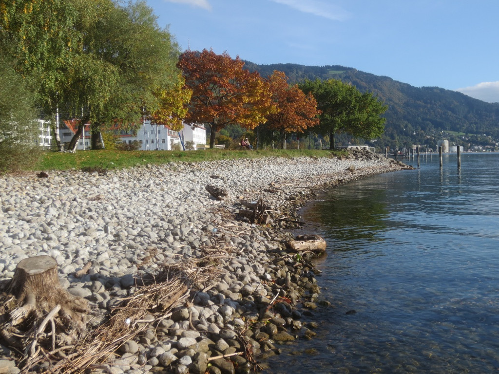 Herbst am See _20__jpg-1382453283