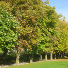 Herbst am See _15__jpg-1382453260