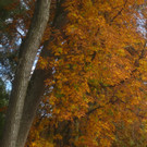 Herbst am See _36__jpg-1382453358