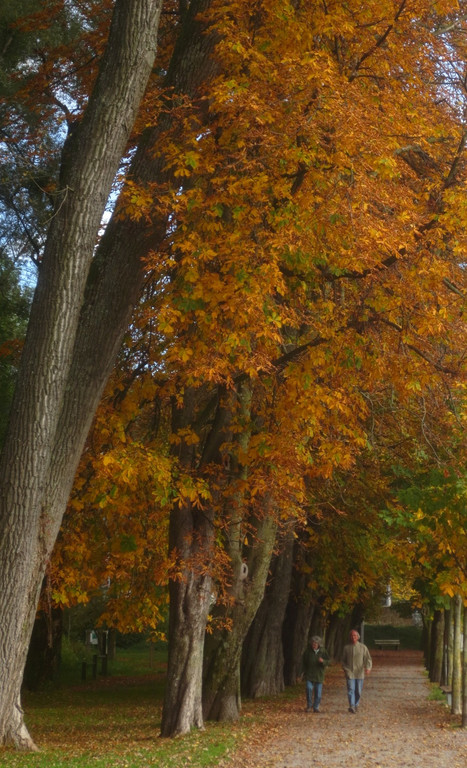 Herbst am See _36__jpg-1382453358