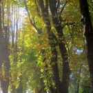 Herbst am See _3__jpg-1382453203