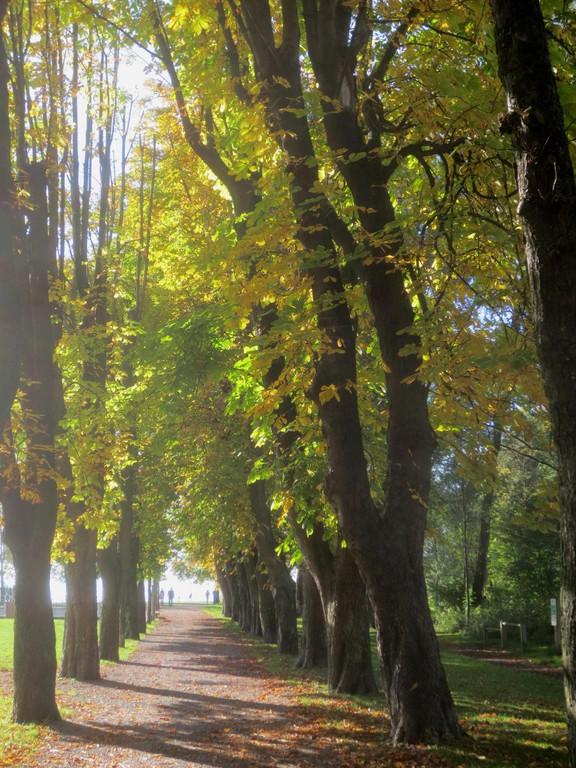 Herbst am See _3__jpg-1382453203