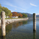 Herbst am See _23__jpg-1382453292