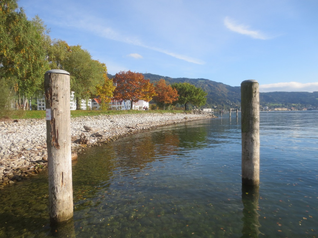 Herbst am See _23__jpg-1382453292