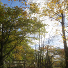 Herbst am See _32__jpg-1382453332
