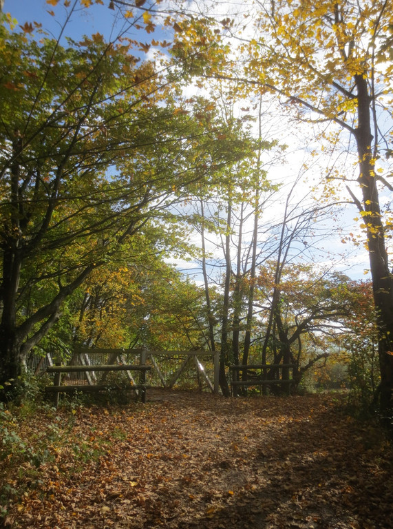 Herbst am See _32__jpg-1382453332
