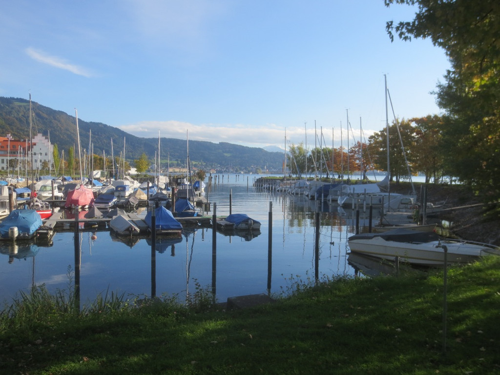 Herbst am See _27__jpg-1382453305