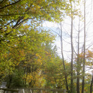 Herbst am See _33__jpg-1382453339